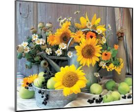 Sunflower Arrangement I-null-Mounted Art Print