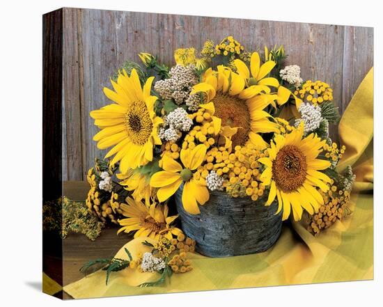 Sunflower Arrangement II-null-Stretched Canvas