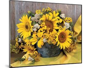 Sunflower Arrangement II-null-Mounted Art Print