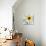 Sunflower Art-Ata Alishahi-Giclee Print displayed on a wall