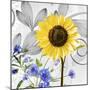 Sunflower Art-Ata Alishahi-Mounted Giclee Print