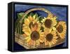 Sunflower Basket-Cheryl Bartley-Framed Stretched Canvas