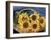 Sunflower Basket-Cheryl Bartley-Framed Giclee Print