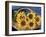 Sunflower Basket-Cheryl Bartley-Framed Giclee Print