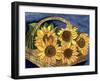 Sunflower Basket-Cheryl Bartley-Framed Giclee Print