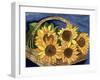 Sunflower Basket-Cheryl Bartley-Framed Giclee Print