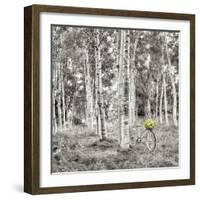 Sunflower Bicycle Ride-Alan Blaustein-Framed Photographic Print