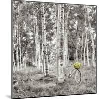 Sunflower Bicycle Ride-Alan Blaustein-Mounted Photographic Print
