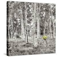 Sunflower Bicycle Ride-Alan Blaustein-Stretched Canvas