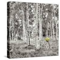 Sunflower Bicycle Ride-Alan Blaustein-Stretched Canvas