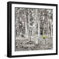 Sunflower Bicycle Ride-Alan Blaustein-Framed Premium Photographic Print