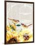 Sunflower Birds I-Irina Trzaskos Studios-Framed Giclee Print