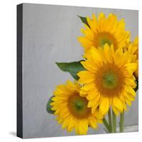 Sunflower Bouquet-Nicole Katano-Stretched Canvas
