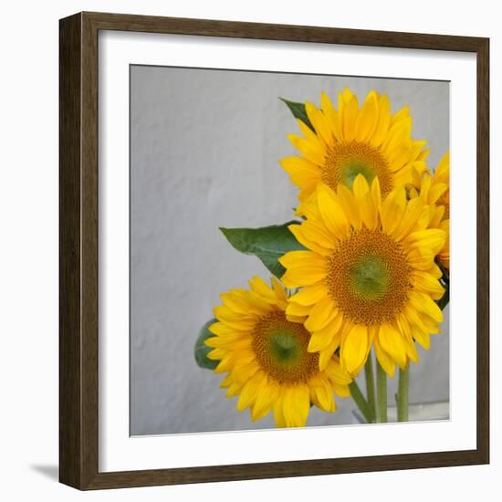 Sunflower Bouquet-Nicole Katano-Framed Photo