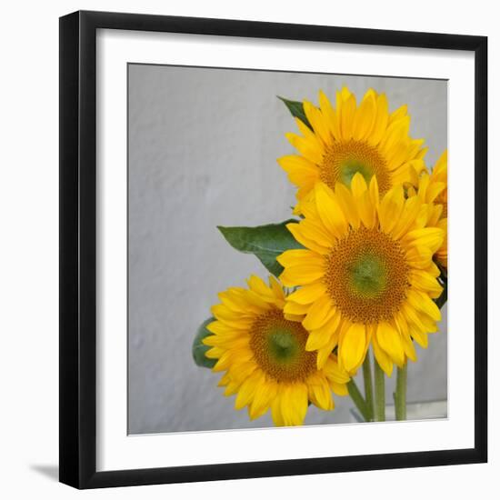 Sunflower Bouquet-Nicole Katano-Framed Photo