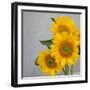 Sunflower Bouquet-Nicole Katano-Framed Photo