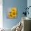 Sunflower Bouquet-Nicole Katano-Photo displayed on a wall