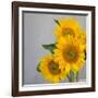 Sunflower Bouquet-Nicole Katano-Framed Photo