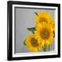 Sunflower Bouquet-Nicole Katano-Framed Photo