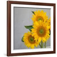 Sunflower Bouquet-Nicole Katano-Framed Photo