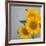 Sunflower Bouquet-Nicole Katano-Framed Photo