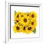 Sunflower Bouquet-Donnie Quillen-Framed Art Print