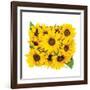 Sunflower Bouquet-Donnie Quillen-Framed Art Print