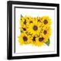 Sunflower Bouquet-Donnie Quillen-Framed Art Print