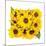 Sunflower Bouquet-Donnie Quillen-Mounted Art Print