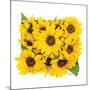 Sunflower Bouquet-Donnie Quillen-Mounted Art Print