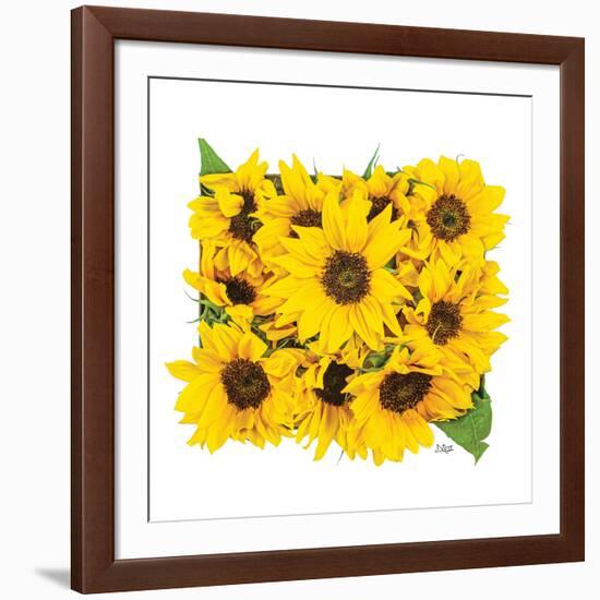 Sunflower Bouquet-Donnie Quillen-Framed Art Print