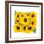 Sunflower Bouquet-Donnie Quillen-Framed Art Print