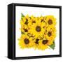 Sunflower Bouquet-Donnie Quillen-Framed Stretched Canvas