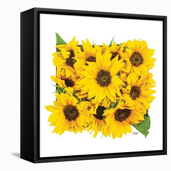 Sunflower Bouquet-Donnie Quillen-Framed Stretched Canvas