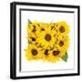 Sunflower Bouquet-Donnie Quillen-Framed Art Print