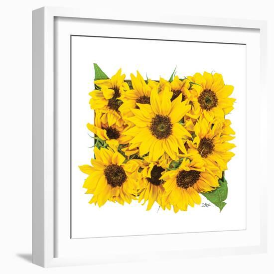 Sunflower Bouquet-Donnie Quillen-Framed Art Print