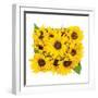 Sunflower Bouquet-Donnie Quillen-Framed Art Print