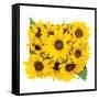 Sunflower Bouquet-Donnie Quillen-Framed Stretched Canvas