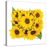 Sunflower Bouquet-Donnie Quillen-Stretched Canvas