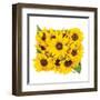 Sunflower Bouquet-Donnie Quillen-Framed Art Print