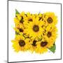 Sunflower Bouquet-Donnie Quillen-Mounted Art Print