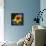 Sunflower by the Road-Ursula Abresch-Framed Stretched Canvas displayed on a wall