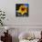 Sunflower by the Road-Ursula Abresch-Photographic Print displayed on a wall