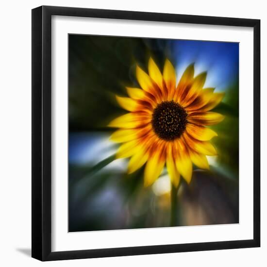 Sunflower by the Road-Ursula Abresch-Framed Photographic Print