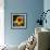 Sunflower by the Road-Ursula Abresch-Framed Photographic Print displayed on a wall