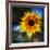 Sunflower by the Road-Ursula Abresch-Framed Photographic Print