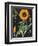 Sunflower Chart-Sue Schlabach-Framed Art Print