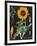 Sunflower Chart-Sue Schlabach-Framed Art Print