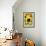 Sunflower Close Up in a Field of Sunflowers-George Oze-Framed Photographic Print displayed on a wall