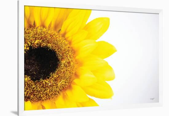 Sunflower Close-up-Donnie Quillen-Framed Art Print